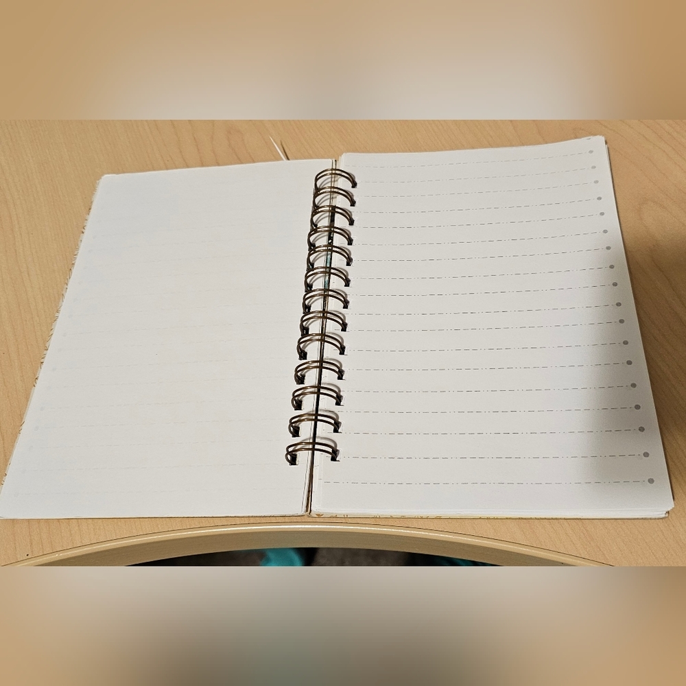 'Lady' Journal - Picture 3 of 5